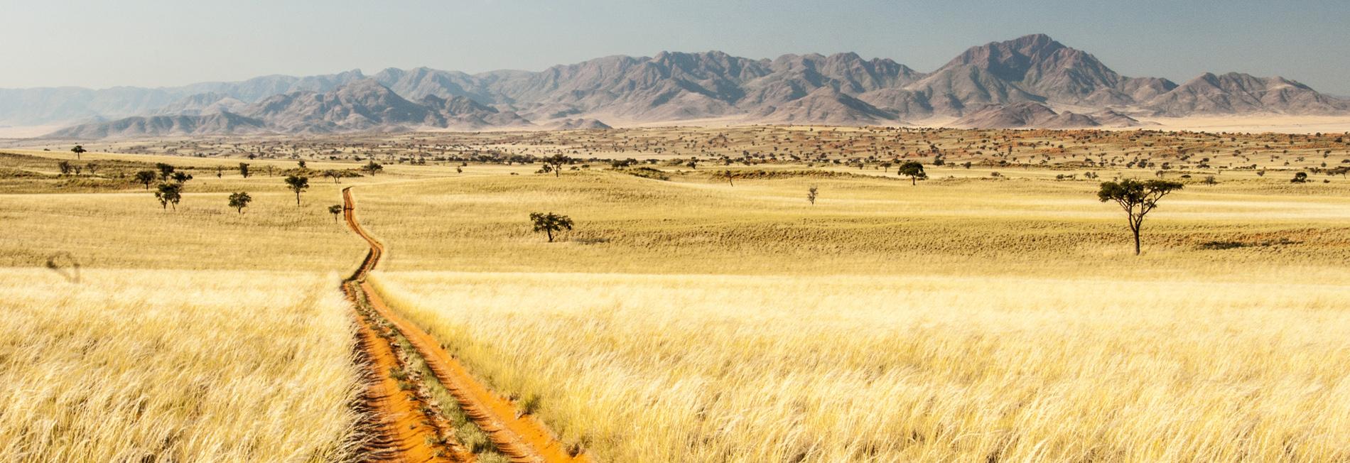 Le dernier sanctuaire africain