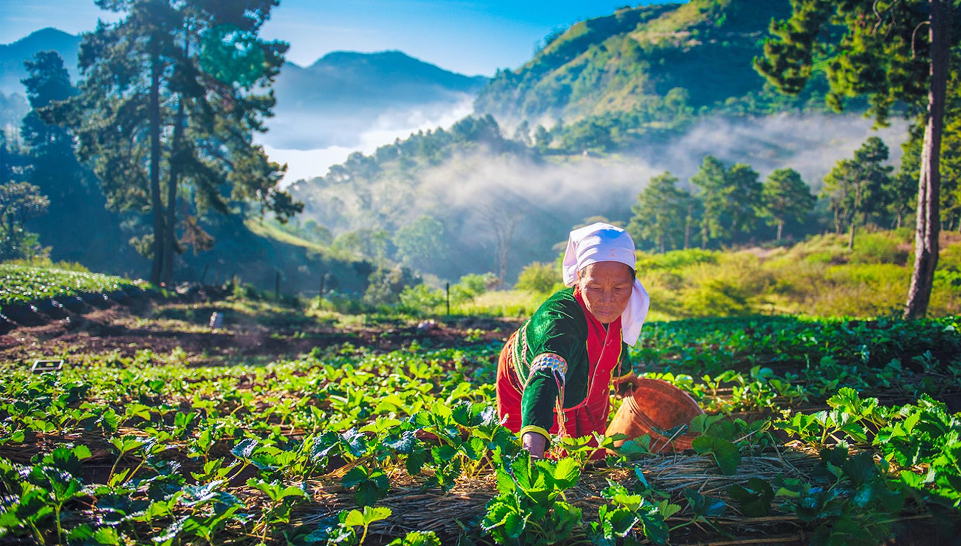Voyage d'exception en Thaïlande et au Laos